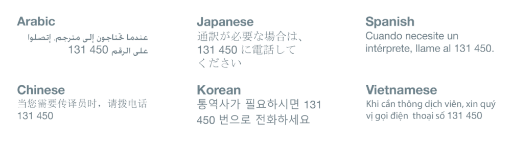 interpreter2